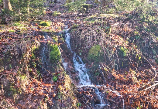 20220205202147-00264589